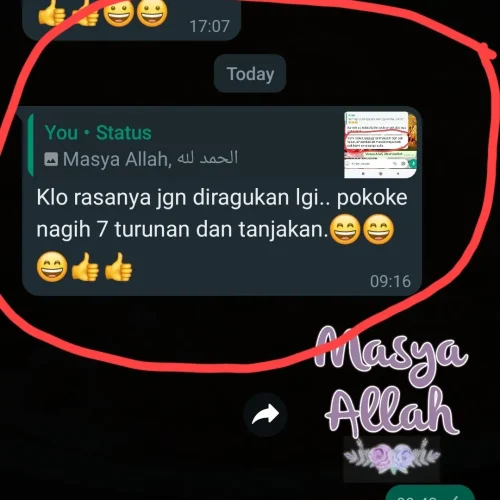 IMG_20230903_104128_749